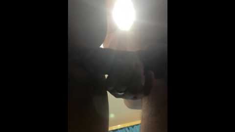 dream9971 @ bongacams on 20241129