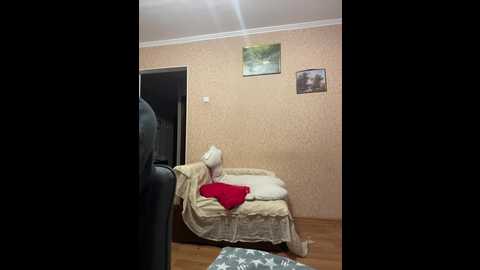 pornohuk @ bongacams on 20241129
