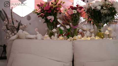 taanni @ bongacams on 20241129