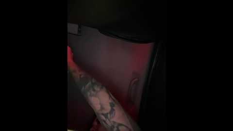 tokionajoe @ bongacams on 20241129