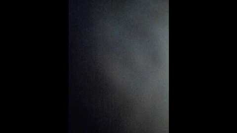 zadengida333 @ bongacams on 20241130