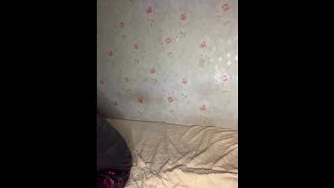 alyavass1 @ bongacams on 20241201
