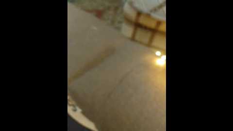 nechegolichnogo @ bongacams on 20241202