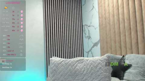 kassablanca @ bongacams on 20241205