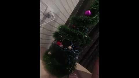 niki233221 @ bongacams on 20241206