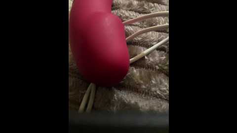 regina_1111 @ bongacams on 20241206