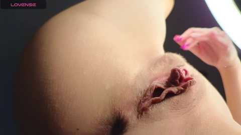 lisi4ka_basik @ bongacams on 20241207