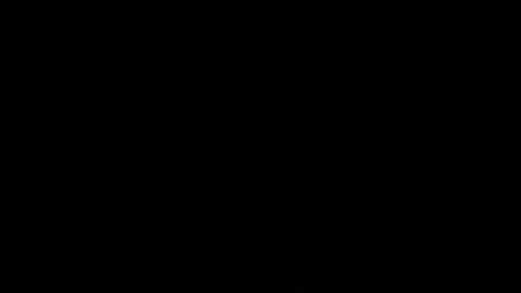 miamimur
