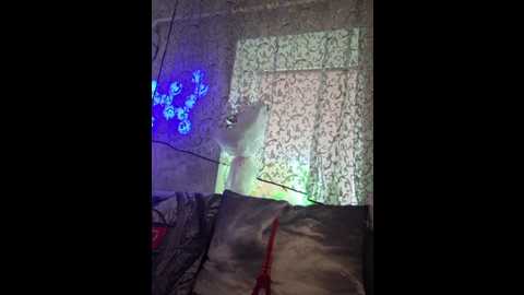 aureliyxxx @ bongacams on 20250530