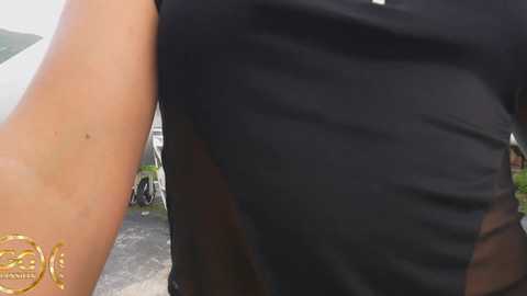 ggmansion @ bongacams on 20250530