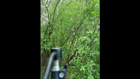 hotpepper_sweetpepper @ bongacams on 20250530