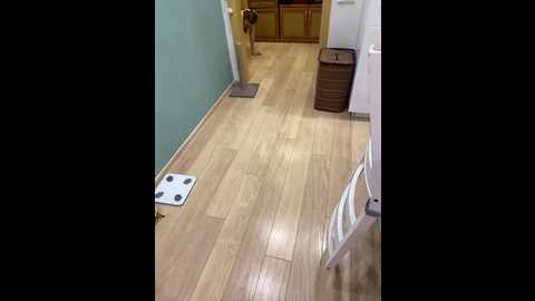 yugovi @ bongacams on 20250530