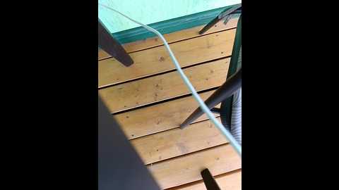 angelia22 @ bongacams on 20250531