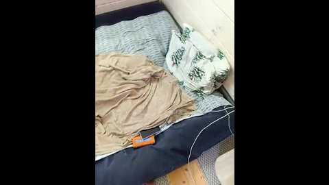 angelia22 @ bongacams on 20250531