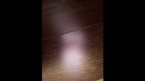 babydarii @ bongacams on 20250531