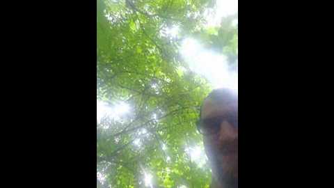 chelsi16 @ bongacams on 20250531