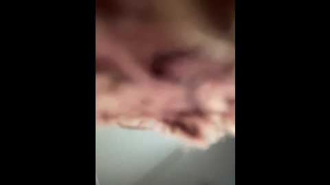 hellmor @ bongacams on 20250531