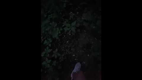 hotpepper_sweetpepper @ bongacams on 20250531