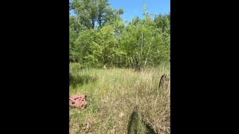 kisa_gav @ bongacams on 20250531