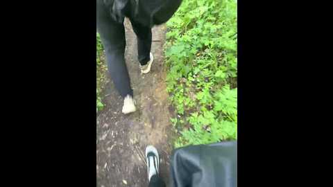 tr1xie @ bongacams on 20250531