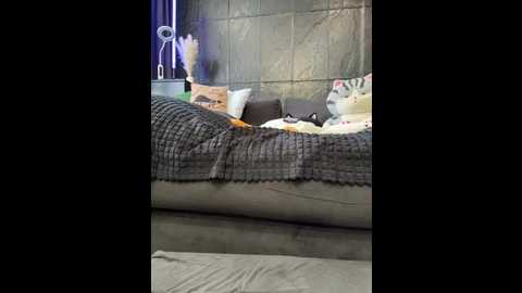 vero19nika @ bongacams on 20250531