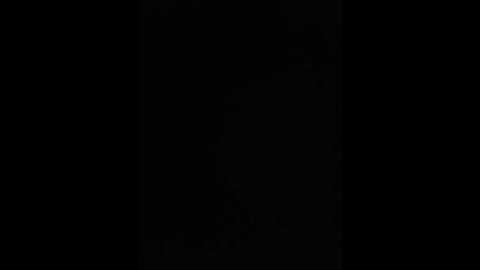 vladimir7895 @ bongacams on 20250531