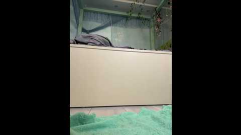 anitashine @ bongacams on 20250601