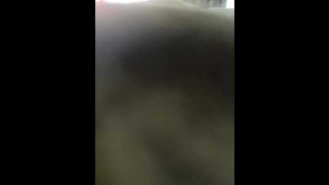 pornorabbits @ bongacams on 20250601