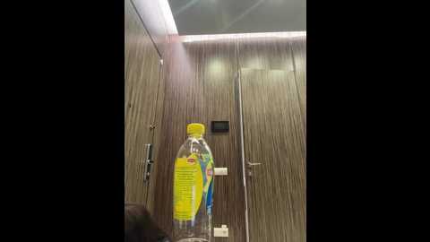 tr1xie @ bongacams on 20250601