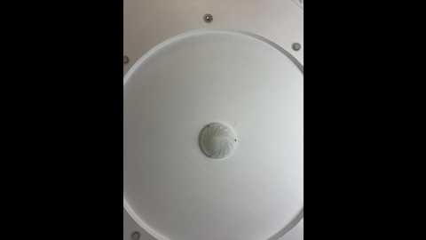 _vaka_ @ bongacams on 20250602