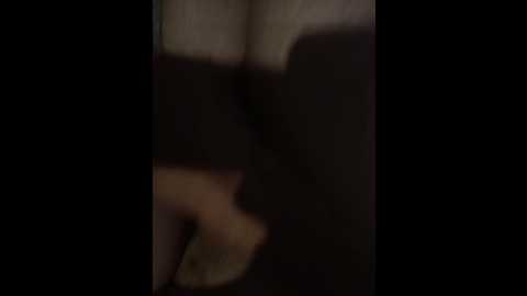 bipara1 @ bongacams on 20250602