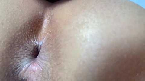 farianaall @ bongacams on 20250602