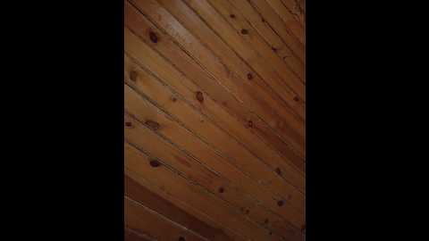 goodminibabe @ bongacams on 20250602