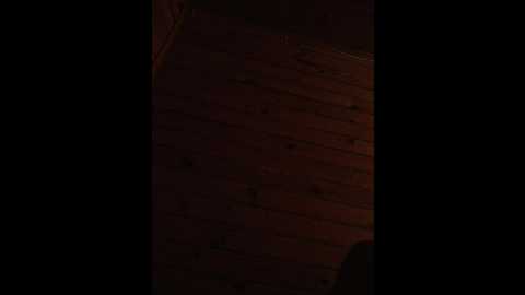 goodminibabe @ bongacams on 20250602