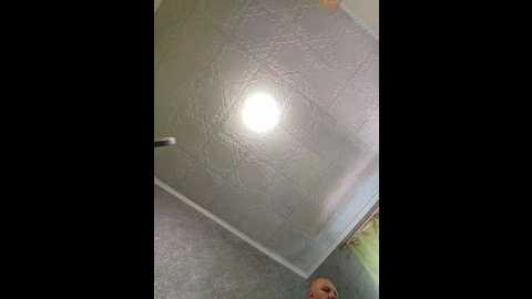 kissmabont @ bongacams on 20250603