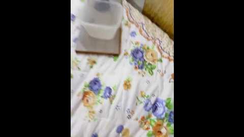 seksiparaa @ bongacams on 20250603