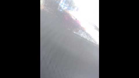 sodom_and_gomorrah @ bongacams on 20250603