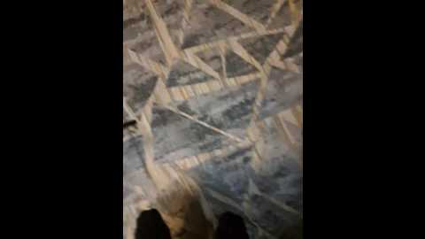 sweetpra @ bongacams on 20250603