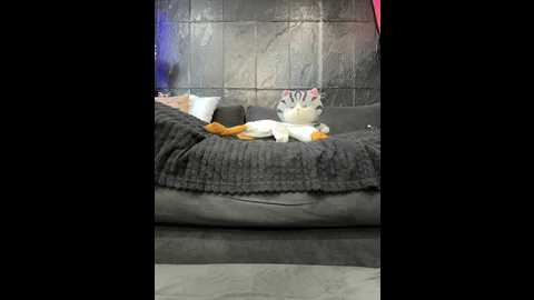 vero19nika @ bongacams on 20250604