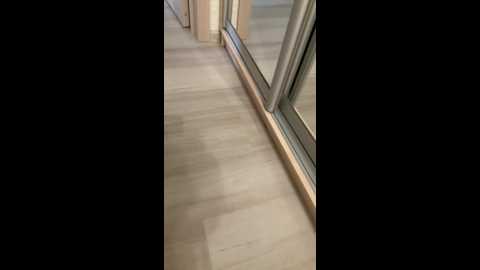 adamsfamily69 @ bongacams on 20250605