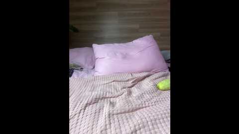 alisamaks @ bongacams on 20250605