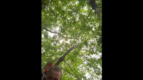 tr1xie @ bongacams on 20250606