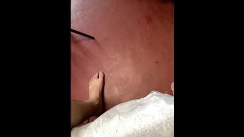 fregidaaa @ bongacams on 20250611