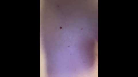 jskchwkdbcn @ bongacams on 20250611