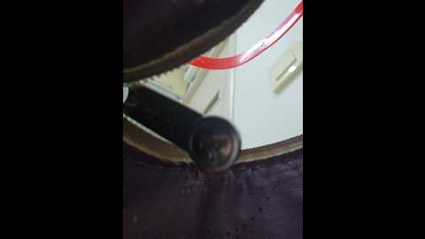 editamilf @ bongacams on 20250612