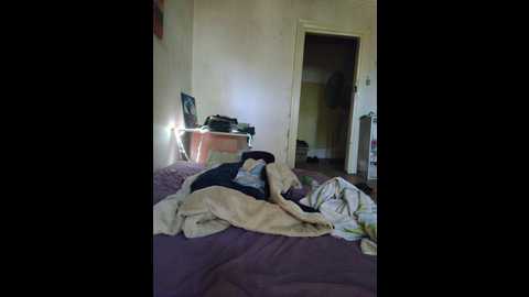 foreplaylive @ bongacams on 20250612