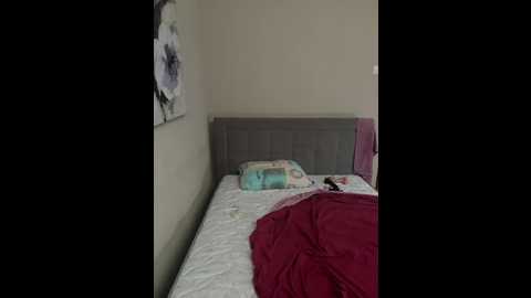 nimfomas03 @ bongacams on 20250612