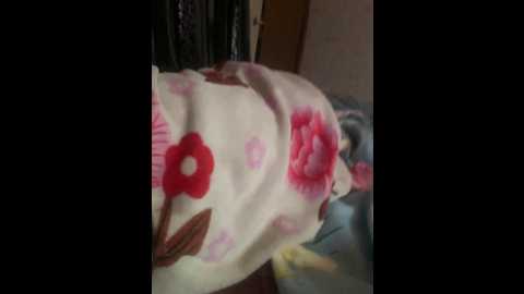 arcgroza @ bongacams on 20250613