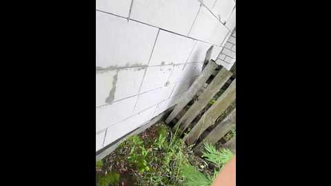 daddysgirl9 @ bongacams on 20250614