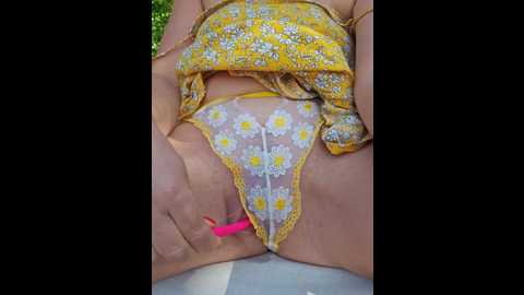 stella888 @ bongacams on 20250614